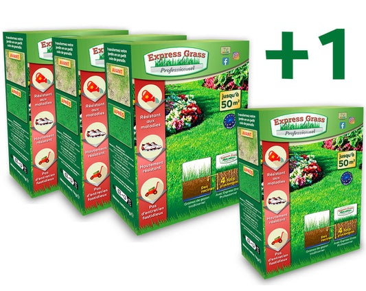 3 + 1 Express Grass Professionnel